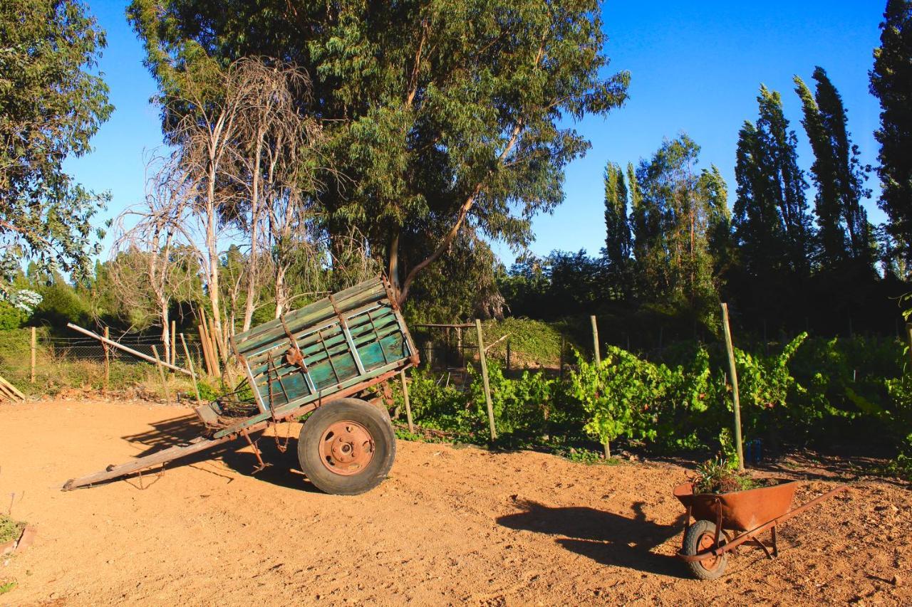 Hotel Boutique Raices De Colchagua 산타크루스 외부 사진