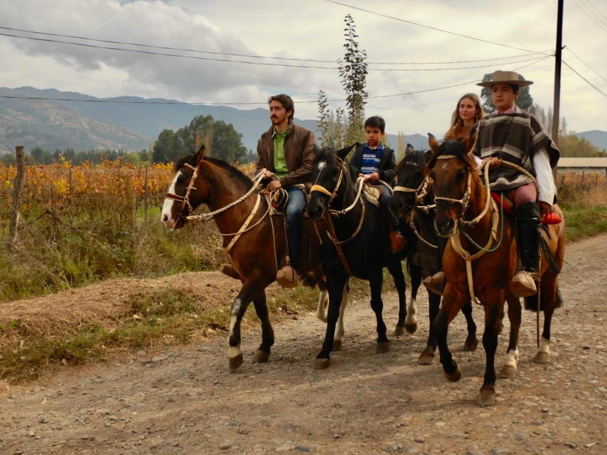 Hotel Boutique Raices De Colchagua 산타크루스 외부 사진